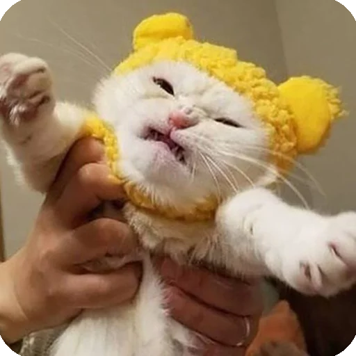 😠 Стикер «Animals?» для Telegram