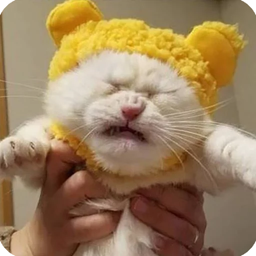 😖 Стикер «Animals?» для Telegram