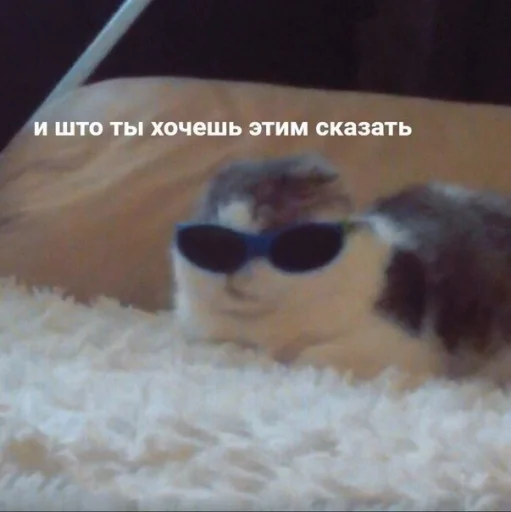 🗿 Стикер «шошобля» для Telegram