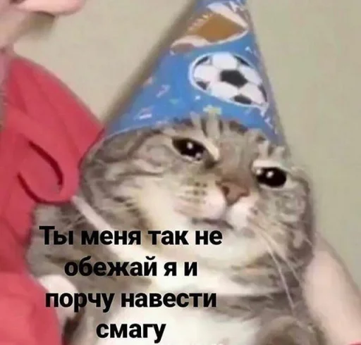 🤡 Стикер «шошобля» для Telegram