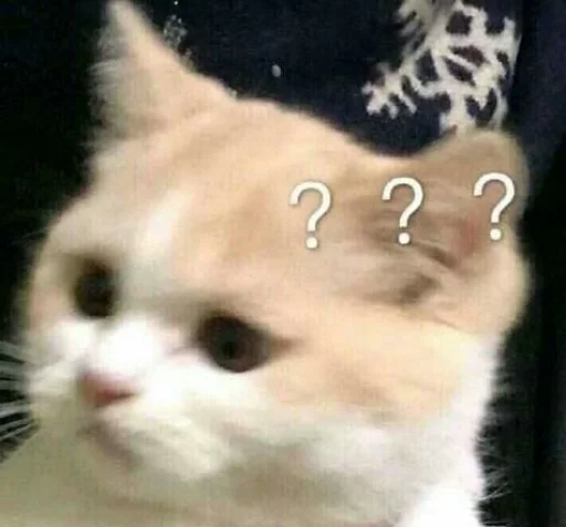 🗿 Стикер «шошобля» для Telegram