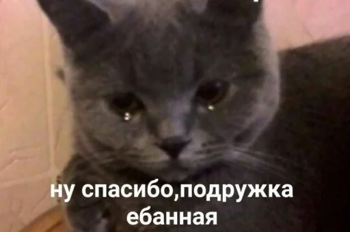 😩 Стикер «шошобля» для Telegram