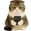 📱 Эмодзи «Шотландский кот» для Telegram