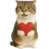 🫶 Эмодзи «Шотландский кот» для Telegram