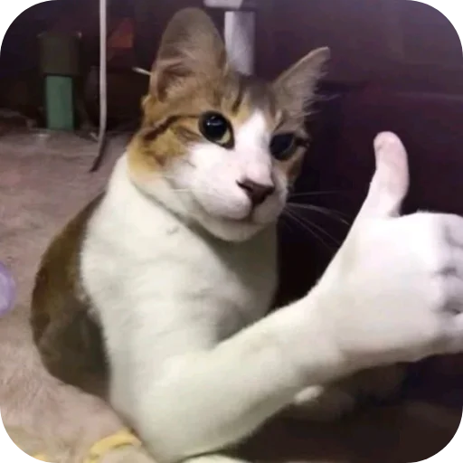 🐱 Стикер «Стикеры Шпека» для Telegram