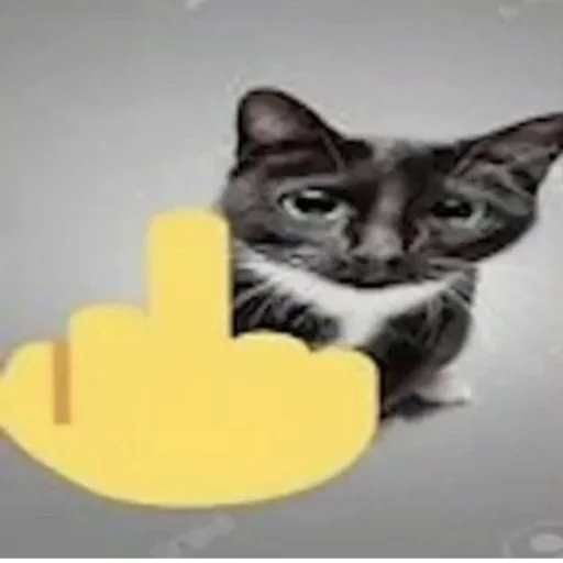 🖕 Стикер «Стикеры Шпека» для Telegram