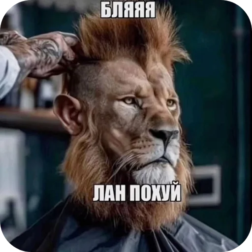 🖼 Стикер «Стикеры Шпека» для Telegram