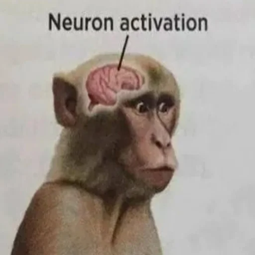 🧠 Стикер «Стикеры Шпека» для Telegram