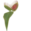 Стикер 9 Shroomsnfrens
