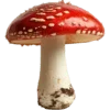 Стикер 25 Shroomsnfrens