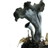 Стикер 57 Shroomsnfrens