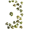 Стикер 45 Shroomsnfrens