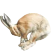 Стикер 26 Shroomsnfrens