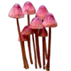 Стикер 17 Shroomsnfrens