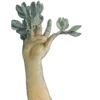 Стикер 15 Shroomsnfrens
