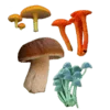 Стикер 42 Shroomsnfrens