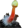 Стикер 55 Shroomsnfrens