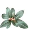 Стикер 11 Shroomsnfrens