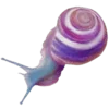 Стикер 52 Shroomsnfrens