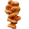 Стикер 24 Shroomsnfrens