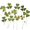 Стикер 47 Shroomsnfrens