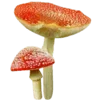 Стикер 48 Shroomsnfrens