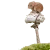Стикер 37 Shroomsnfrens