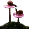Стикер 59 Shroomsnfrens