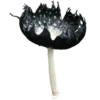 Стикер 58 Shroomsnfrens