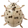 Стикер 3 Shroomsnfrens