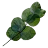Стикер 18 Shroomsnfrens