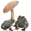 Стикер 5 Shroomsnfrens