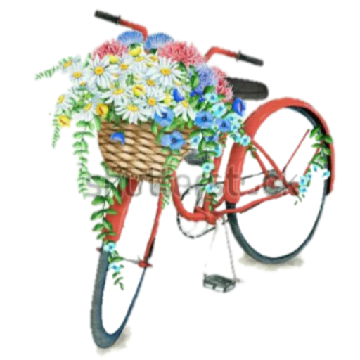 🚲 Стикер «فواصل ويزيدنا القرآن خشوعا2» для Telegram