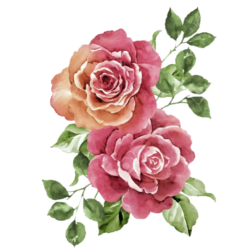 🌸 Стикер «فواصل ويزيدنا القرآن خشوعا2» для Telegram