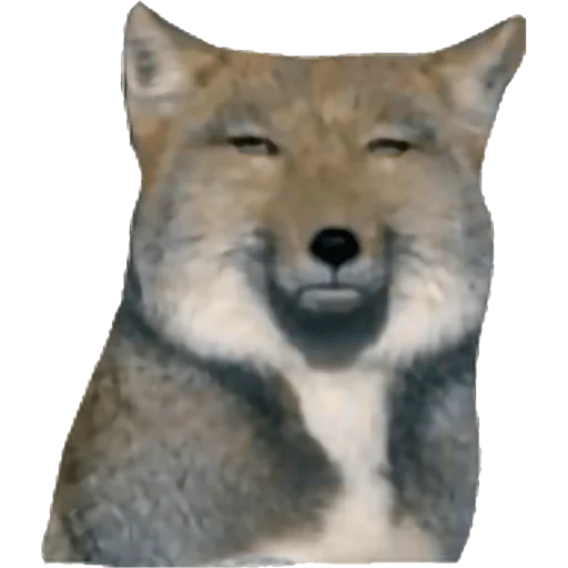 🦊 Стикер «Стікер пак Штабу Візира» для Telegram