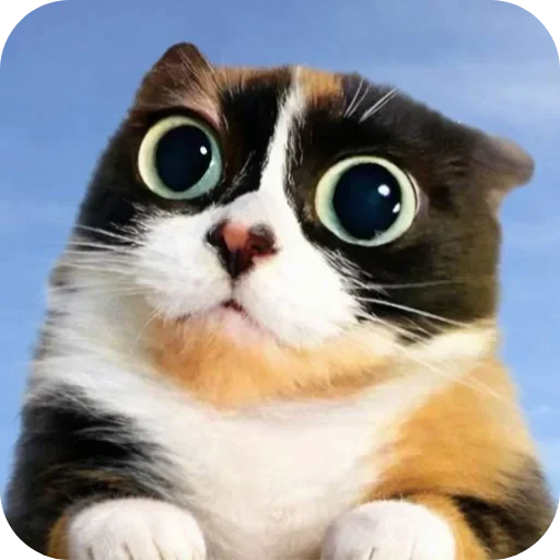 🐱 Стикер «Штикерымаи» для Telegram