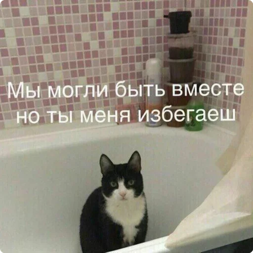 😥 Стикер «Шучу как хочу» для Telegram