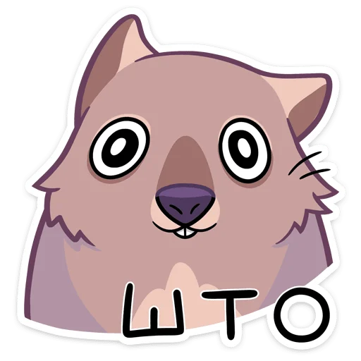 🤨 Стикер «Вомбат Шуга» для Telegram