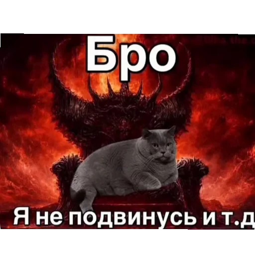 🐱 Стикер «shuncrybaby» для Telegram