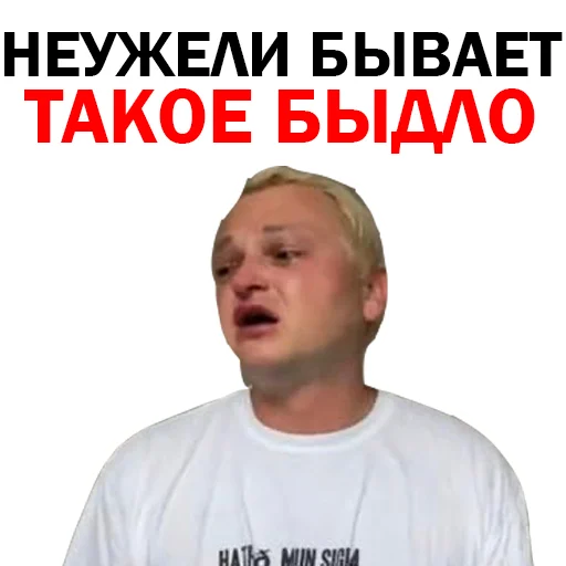 🙄 Стикер «Похититель Ароматов Шура Стоун» для Telegram