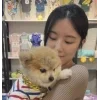 Стикер 47 E Shuhua 3
