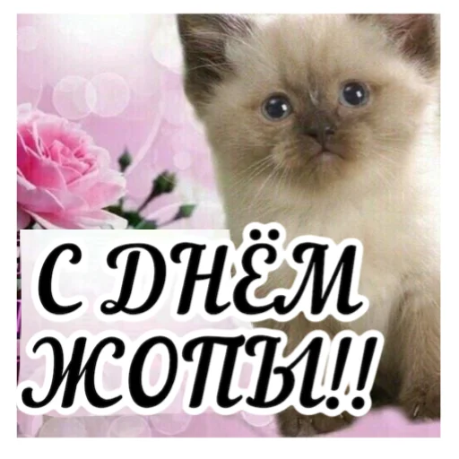 🥳 Стикер «FAM» для Telegram