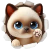 Стикерпак Сиамский котик для Telegram