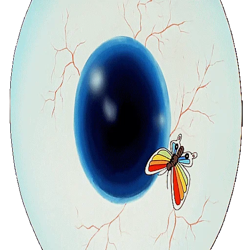 👁 Стикер «SIAMO FATTI COSI&;» для Telegram