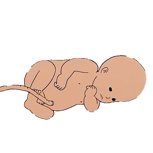 👶 Стикер «SIAMO FATTI COSI&;» для Telegram