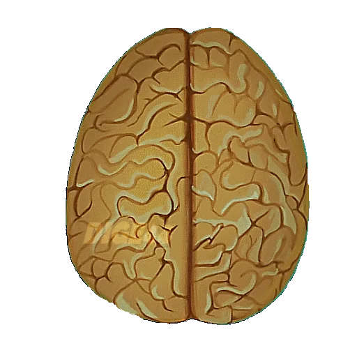 🧠 Стикер «SIAMO FATTI COSI&;» для Telegram