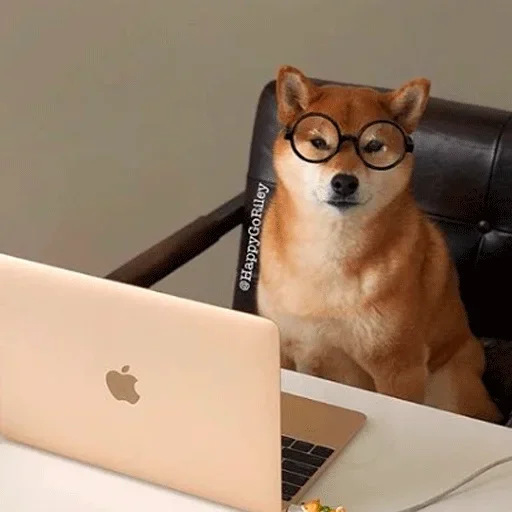 🐶 Стикер «Shiba inu» для Telegram