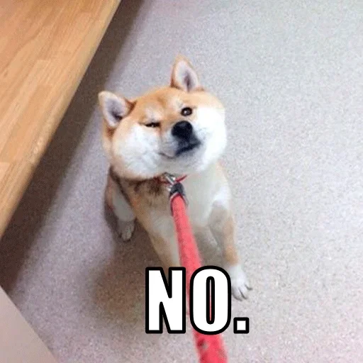 🐶 Стикер «Shiba inu» для Telegram