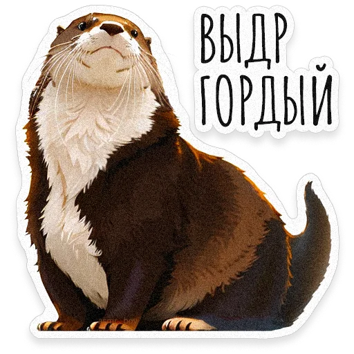 🦦 Стикер «ВЫДРОЧАТик» для Telegram