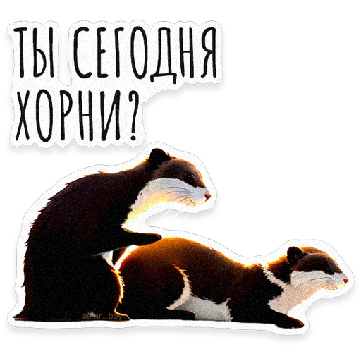 🦦 Стикер «ВЫДРОЧАТик» для Telegram